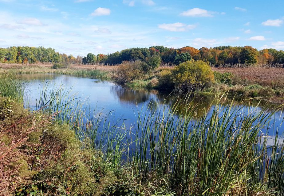 Biodiversity at Osprey Wilds