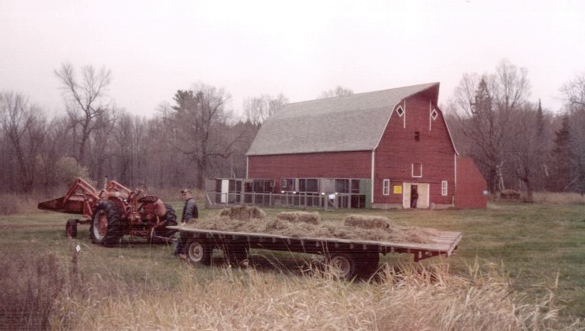 Early days of Osprey Wilds property