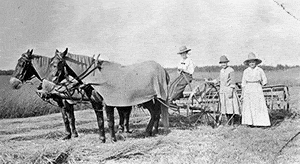 Early days of Osprey Wilds property