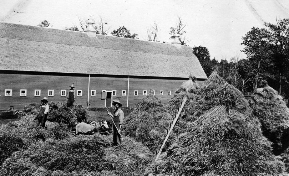 Stacking hay Schwyzer Barn