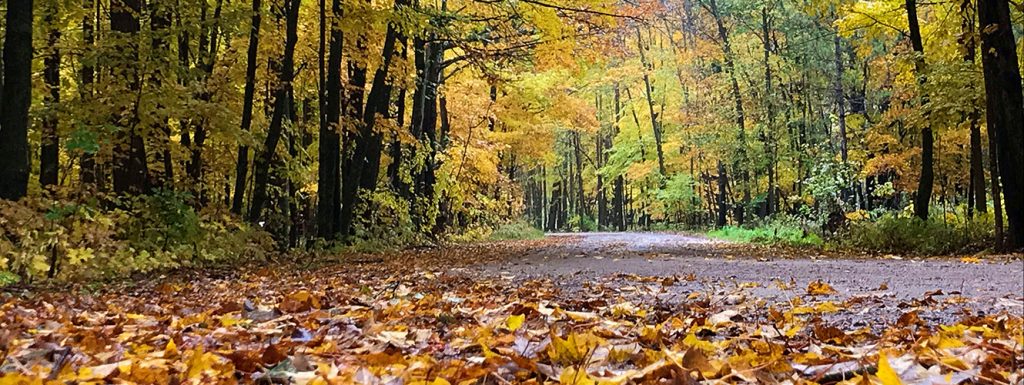 fall driveway