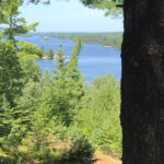 Zz1jODlhZTAyNmZlYzAxMWVkOTU2OThlZWRiZDRlYjIzZQ==